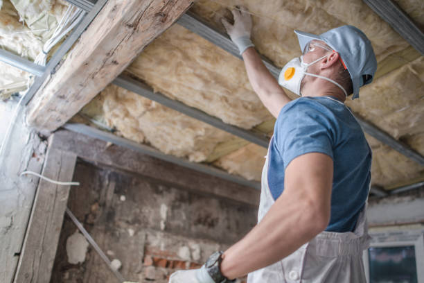 Best Insulation Maintenance and Repair in Villas, NJ